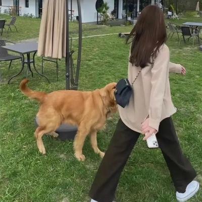 你觉得我是谁