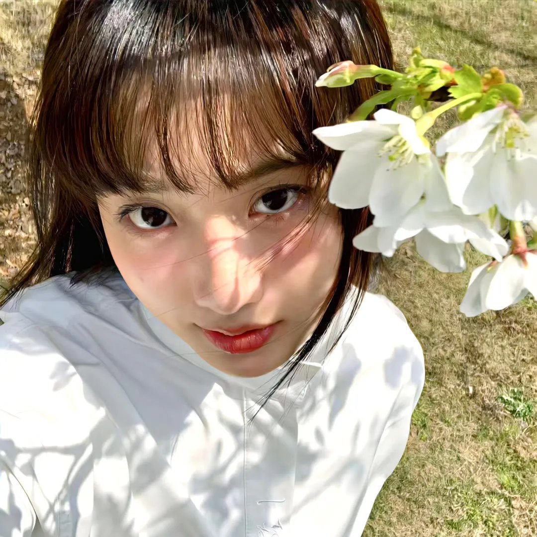 玫瑰皇后